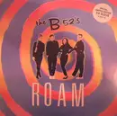 12inch Vinyl Single - The B-52's - Roam - 3D Sleeve + 3D Glasses