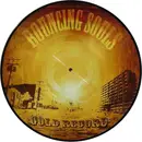 Picture Disc - The Bouncing Souls - The Gold Record - Picture Disc