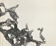 CD - The Boggs - Forts - Digipak, Slipcase