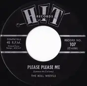 The Boll Weevils - Please Please Me