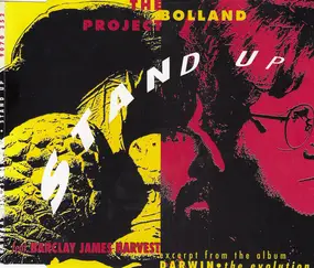Bolland Project - Stand Up