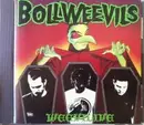 CD - The Bollweevils - Weevilive