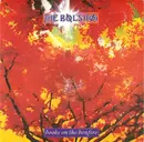 7'' - The Bolshoi - Books On The Bonfire