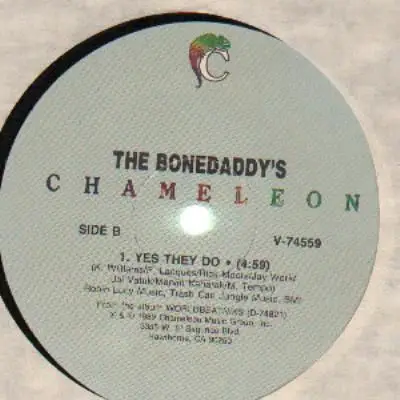 The Bonedaddy's - New Suit