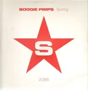 12inch Vinyl Single - The Boogie Pimps - Sunny