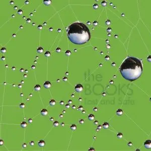 The BOOKS - Lost And Safe (reissue)