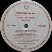 LP - The Boomtown Rats - In The Long Grass
