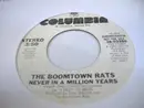 7inch Vinyl Single - The Boomtown Rats - Never In A Million Years