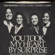 The Boones - You Took My Heart By Surprise
