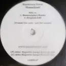 12inch Vinyl Single - The Baytown Crew - Homeland - promo