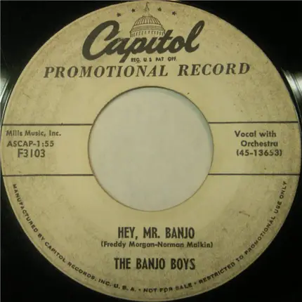 The Banjo Boys - Hey, Mr. Banjo
