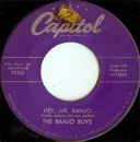 7inch Vinyl Single - The Banjo Boys - Hey, Mr. Banjo