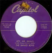 The Banjo Boys - Hey, Mr. Banjo