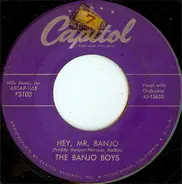 The Banjo Boys - Hey, Mr. Banjo