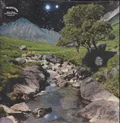 Double LP & CD - The Beta Band - The Beta Band - 2x LP + CD