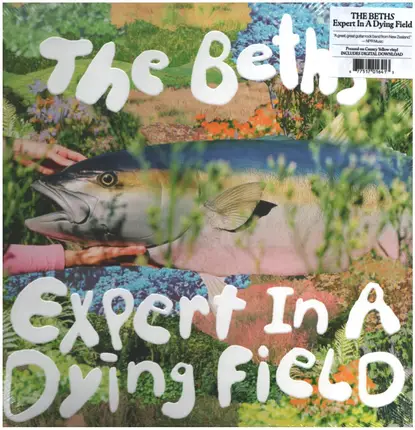 Beths - Expert In A Dying Field