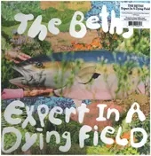 The Beths - Expert In A Dying Field
