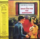 Double LP - The Bevis Frond - What Did For The Dinosaurs - Insert