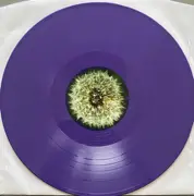 Double LP - The Bevis Frond - Focus On Nature - Limited Edition, Purple Vinyl, Insert