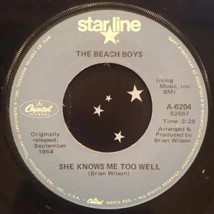 The Beach Boys - When I Grow Up