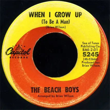 The Beach Boys - When I Grow Up