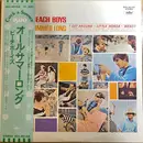 LP - The Beach Boys - All Summer Long