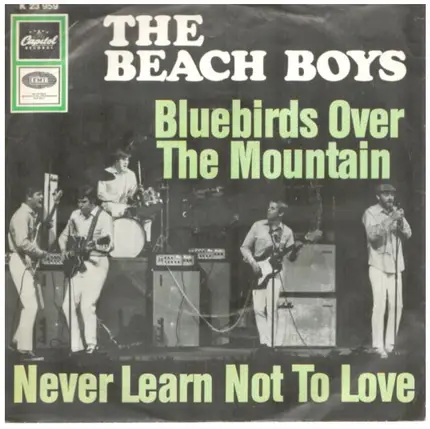 The Beach Boys - Bluebirds Over The Mountain