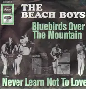 The Beach Boys - Bluebirds Over The Mountain