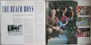 Double LP - The Beach Boys - California Gold - The Very Best Of The Beach Boys