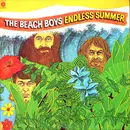 Double LP - The Beach Boys - Endless Summer