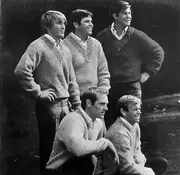 Double LP - The Beach Boys - Gold Collection