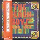 LP - The Beach Boys - Love You - with OBI and insert