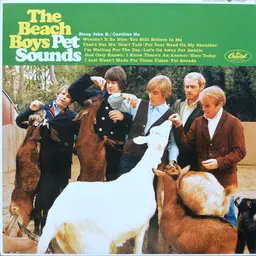 The beach boys pet sounds 119