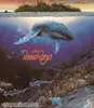 CD - The Beach Boys - Summer In Paradise - Ecopack