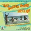 CD - The Beach Boys - Surf's Up (Summertime Fun Hits)
