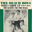 7inch Vinyl Single - The Beach Boys - When I Grow Up (To Be A Man)