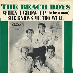 The Beach Boys - When I Grow Up