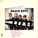 LP - The Beach Boys - Wow! Great Concert!