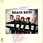 LP - The Beach Boys - Wow! Great Concert!