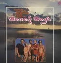 LP - The Beach Boys - Beach Boys