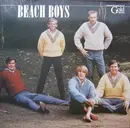Double LP - The Beach Boys - Gold Collection