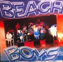 CD - The Beach Boys - Live Hits Collection