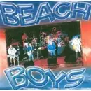 CD - The Beach Boys - Live Hits-Collection