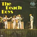 Double LP - The Beach Boys - The Beach Boys