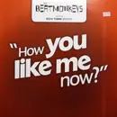 12inch Vinyl Single - The Beat Monkeys - How You Like Me
