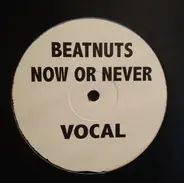The Beatnuts - Now Or Never
