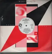 The Beatexperience - Raggadaggadadiggidingdinggidong - The Remixes