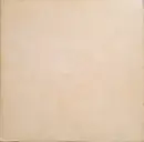 Double LP - The Beatles - The Beatles - Poster / Portrait photos