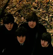 LP-Box - The Beatles - The Beatles Collection