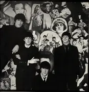 LP-Box - The Beatles - The Beatles Collection